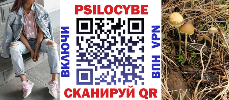 Купить закладки  Дальнереченск  Галлюциногенные грибы Cubensis 